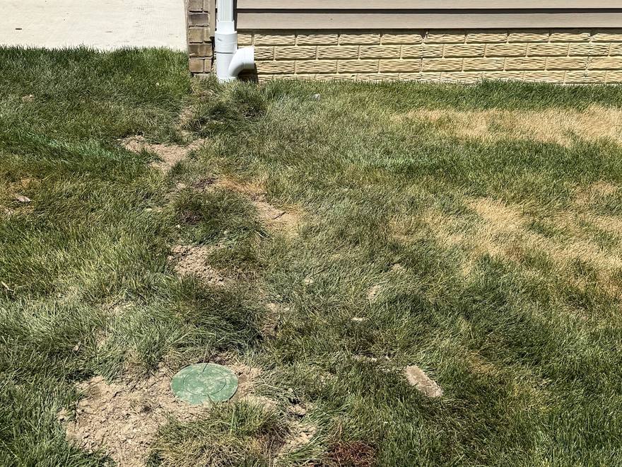 The same downspout after the install, dropping into a buried line with the trench running out across the lawn to a green pop-up emitter.